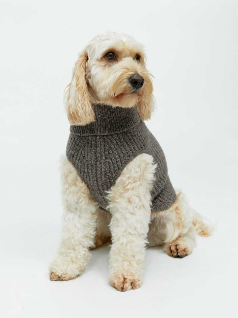 Sweter Arket Dog Trykotowy Męskie Brązowe | Polska BHVKN-0417